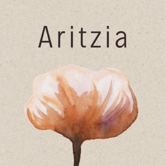Check out my Aritzia listings ! - Picture 1 of 1